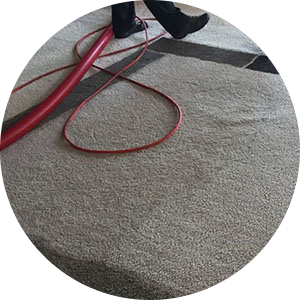 Professional cleaning a beige carpet with eco-friendly solutions.