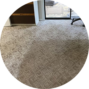 Professional cleaning a commercial carpet with eco-friendly solutions.