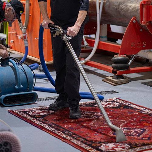 Technician deep cleaning carpets to remove allergens and bacteria.