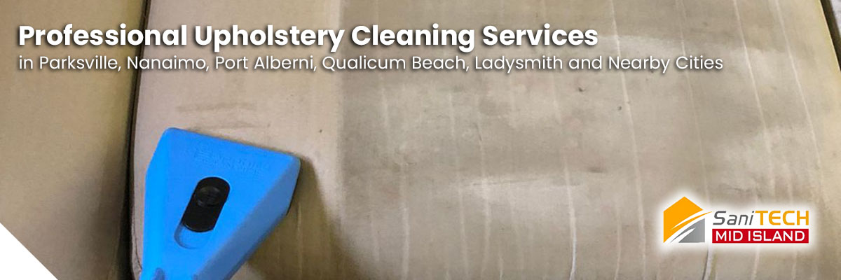 Professional cleaning a modern gray sofa to remove dust and allergens.