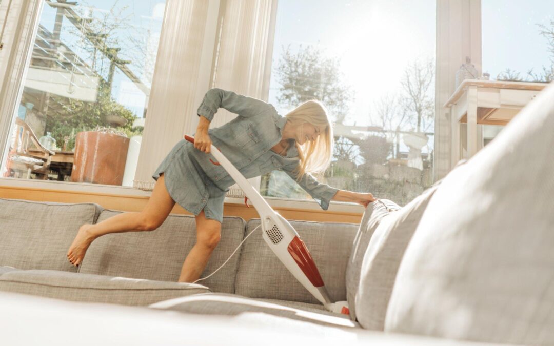 Why Professional Couch Cleaning Is a Must for Pet Owners in Parksville
